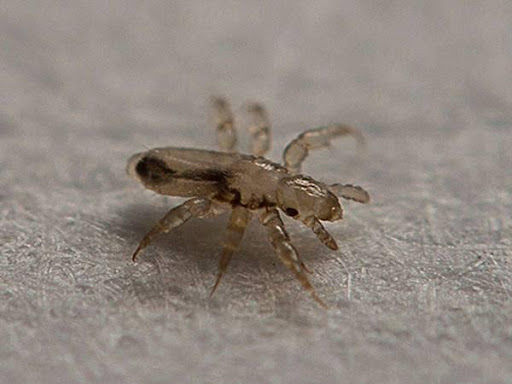 Bảng Số May Mắn Mở Rộng Theo Tình Huống