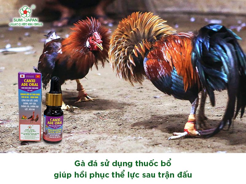 Khuyến Nghị Theo Từng Trường Hợp Cụ Thể